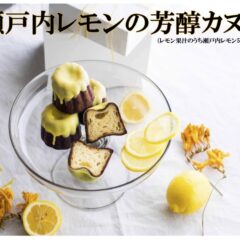 夏のご挨拶　プレゼントにレモンカヌレはいかがですか