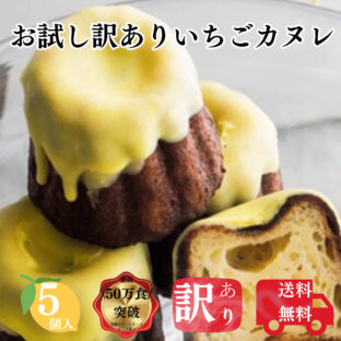 送料無料 お試し レモンカヌレ 5個 構想から20年の 日本人向け しっとり ジューシー カヌレ フードロス 対応 SDGs アウトレット 訳あり お買い得 フランス伝統菓子 自分へ ご褒美 にも