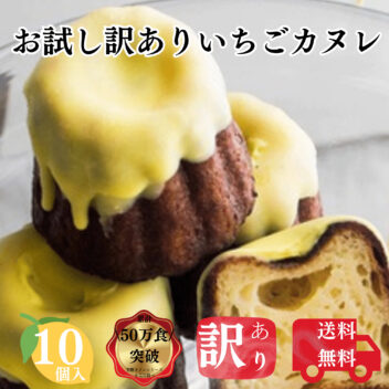 送料無料 お試し レモンカヌレ 10個構想から20年の 日本人向け しっとり ジューシー カヌレ フードロス 対応 SDGs アウトレット 訳あり お買い得 フランス伝統菓子 自分へ ご褒美 にも